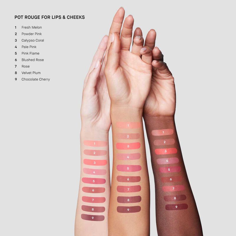 Bobbi Brown Pot Rouge for Lips & Cheeks image number 12